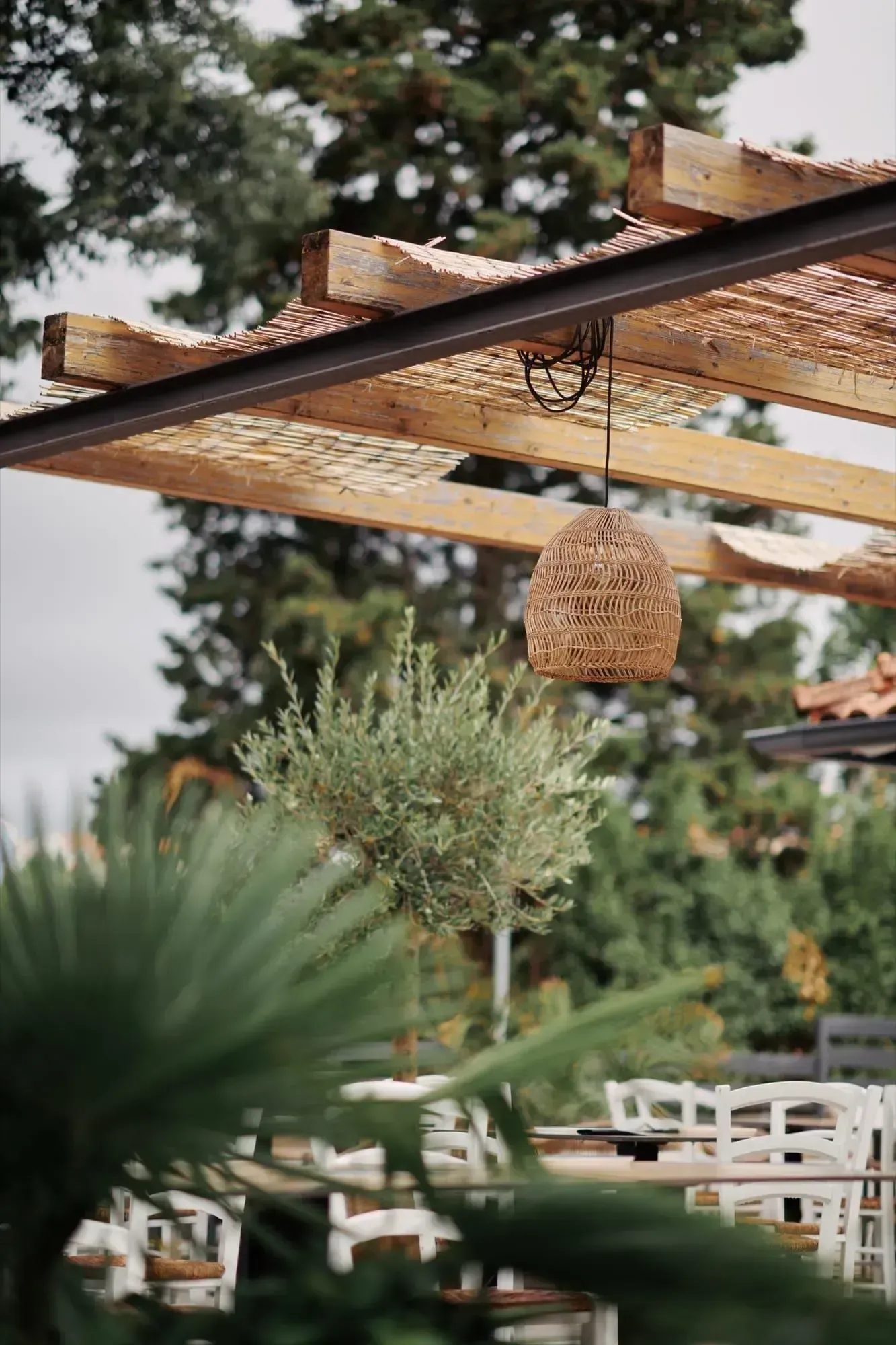 Guests at Salt & Pepper